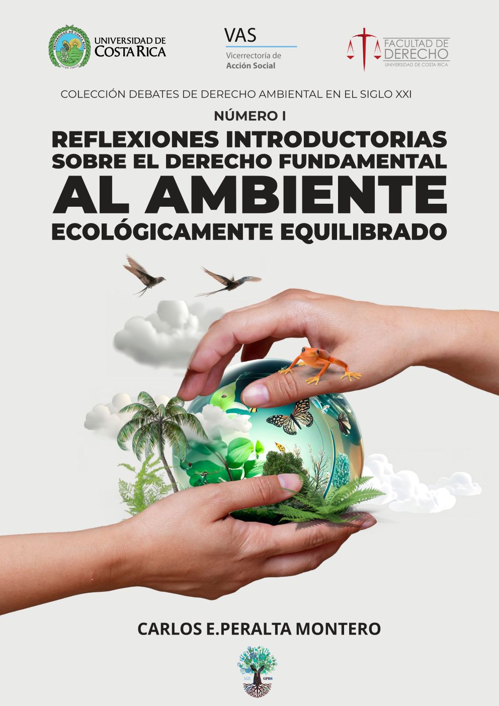 Reflexiones introductorias sobre el derecho fundamental  al ambiente ecológicamente equilibrado